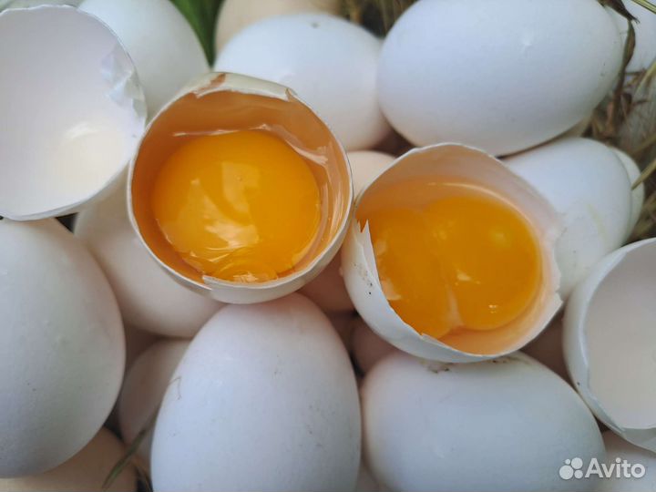 Домашние куриные яйца