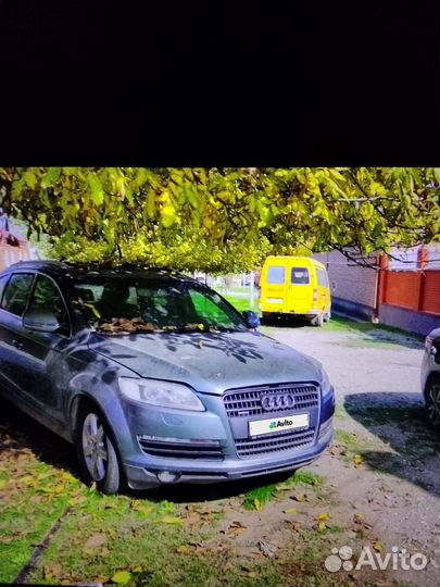Audi Q7, 2006