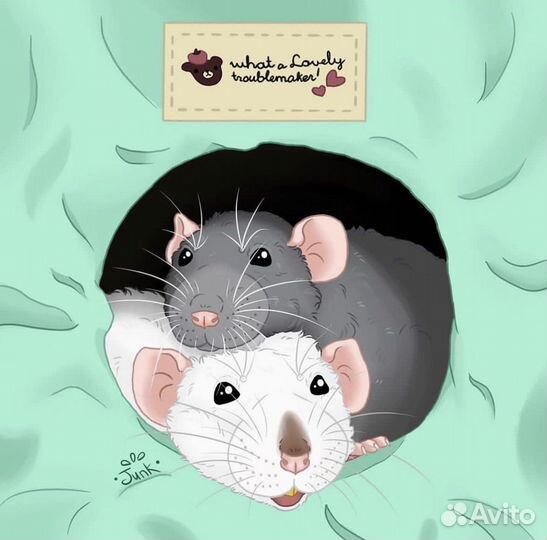 Гамаки, домики, лежанки для крыс и мелких зверьков