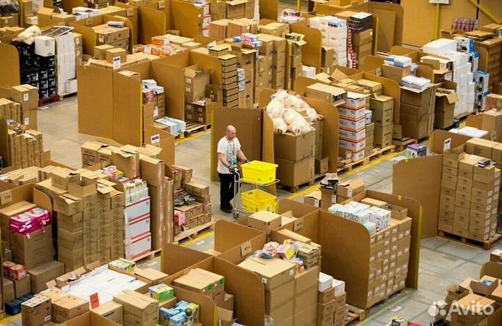 Бизнес на озоне