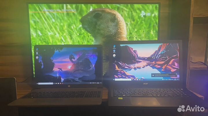 Шустрые ноутбки