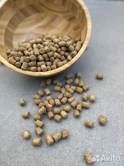 Лакомства для собак