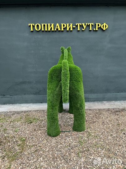 Топиари Топиарные фигуры Садовые фигуры