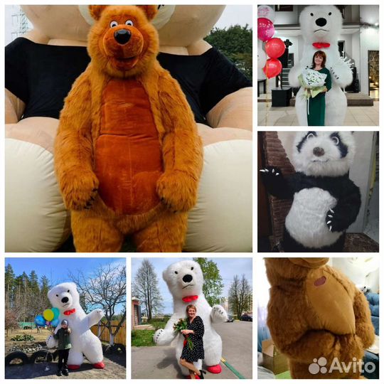 Белый мишка, Мишка Балу и милая Панда