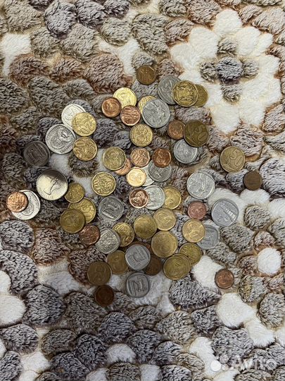 Сувенирные деньги Египет, юар