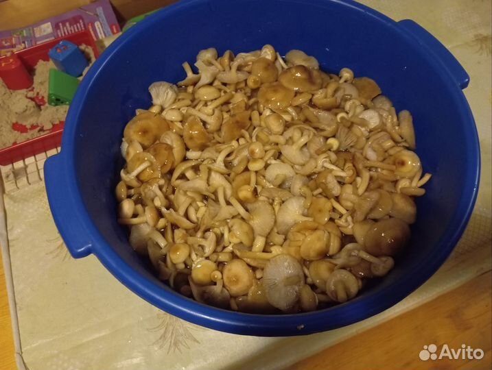 Грибы маринованные