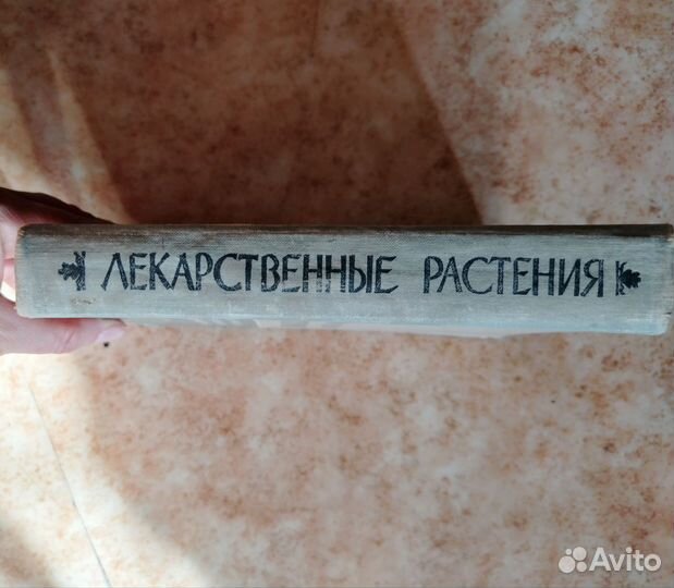 Лекарственные растения в научной и народной медици