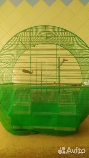 Клетка для среднего попугая