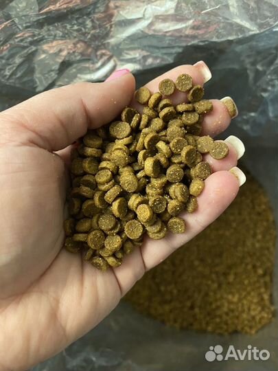 Корм для кошек purina