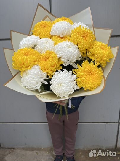 Букеты из хризантем цветы