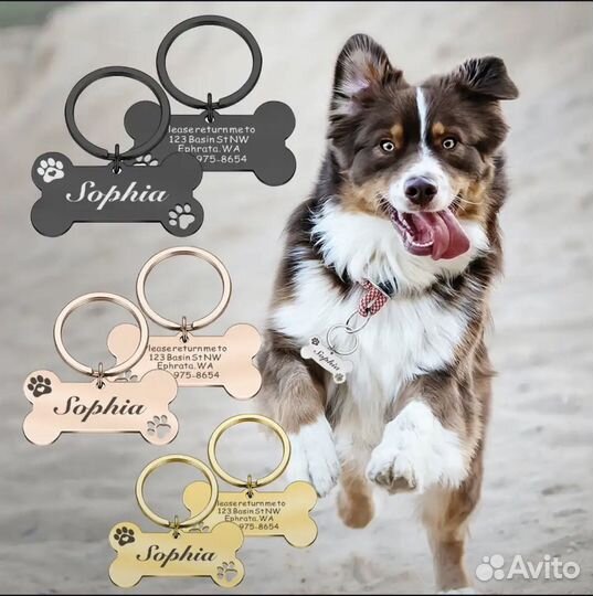 Адресник для собак