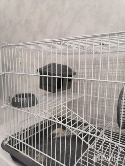 Клетка для грызунов