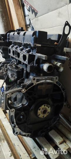 Двигатель ford focus 2 1.6 100 л с