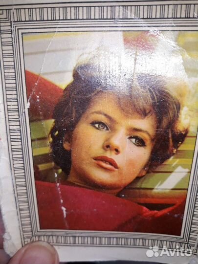 Переводилка