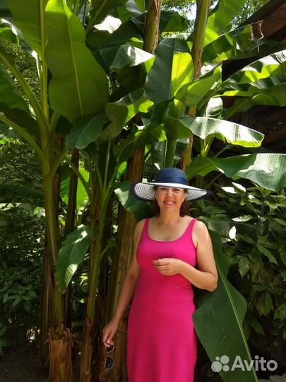 Повар холодного цеха