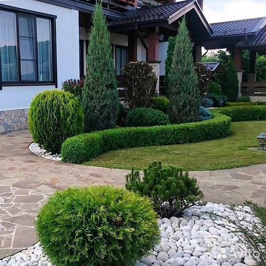 Камень для альпийских горок