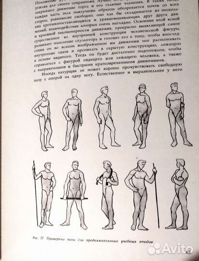 Школа изобразительного искусства