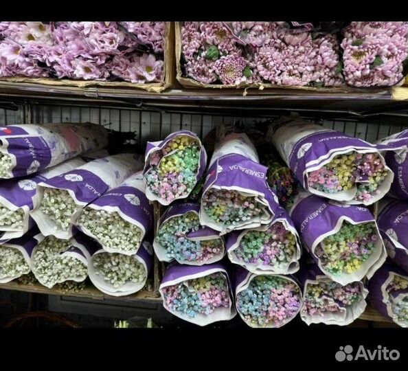 Гипсофила радужная