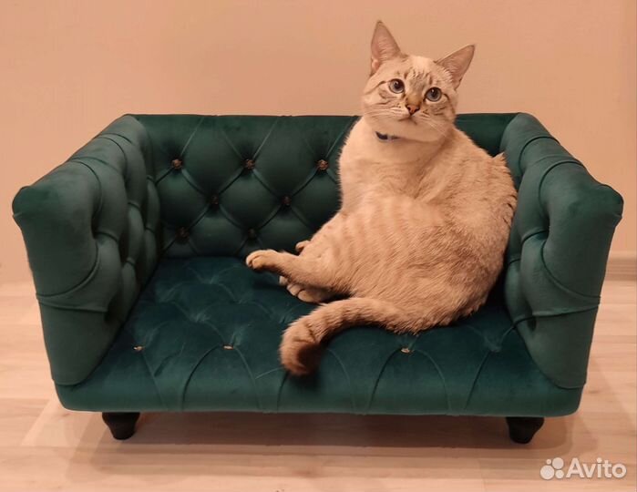 Диван-лежанка для животных