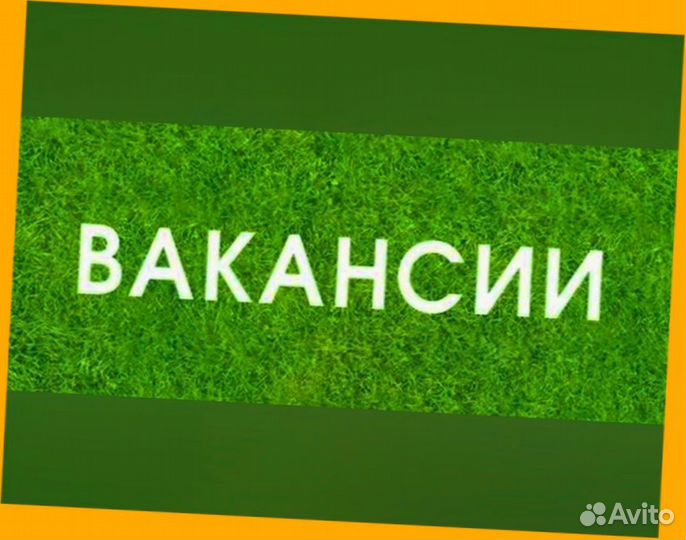 Горничная Работа вахтой Проживание/Еда Выплата еженедельно