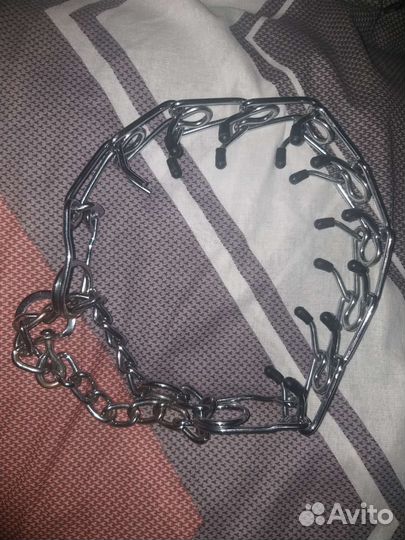 Строгий ошейник