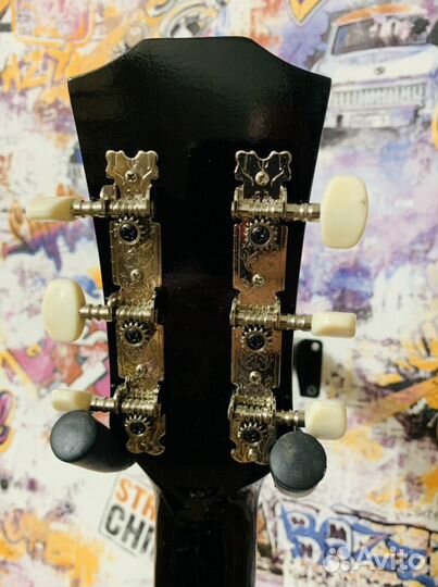 Акустическая гитара + чехол