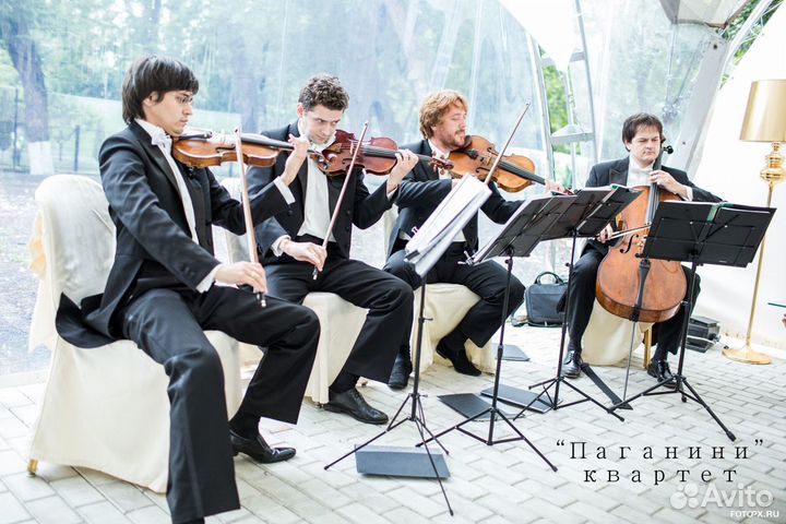 Струнный квартет 