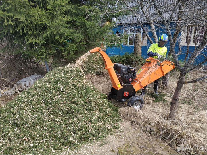 Камешковский р-н. Спилить дерево.Опиловка деревьев