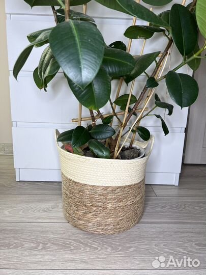 Корзина плетеная аналог sinsay большая