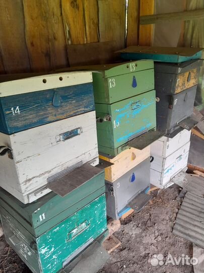 Ульи для пчел дадан