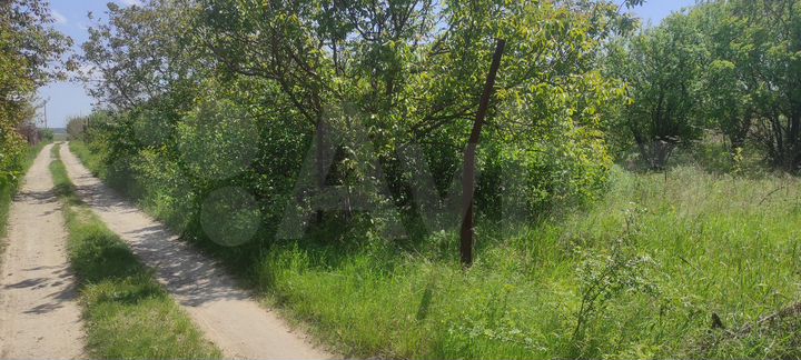 Участок 12 сот. (СНТ, ДНП)