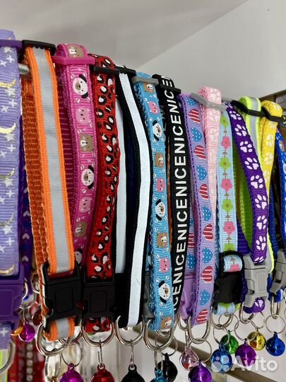 Ошейник для кошек и собак мелких пород