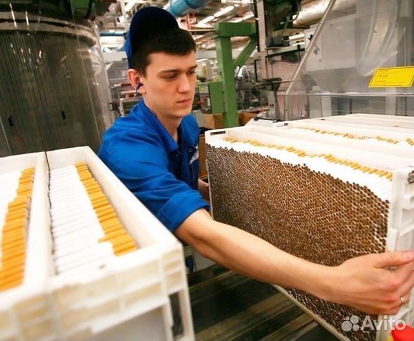 Вахта Москва упаковщик сигарет