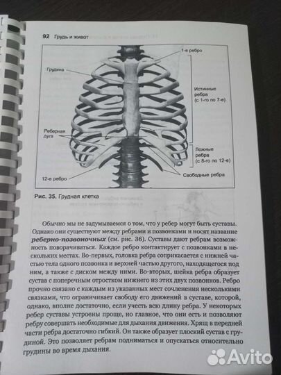 Анатомия тела в движении книга