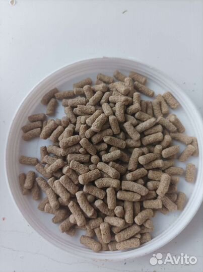 Корм для рыбок