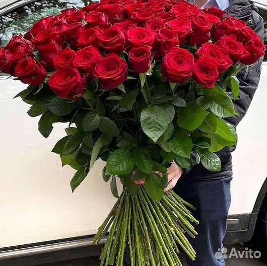 Высокие розы Доставка цветов