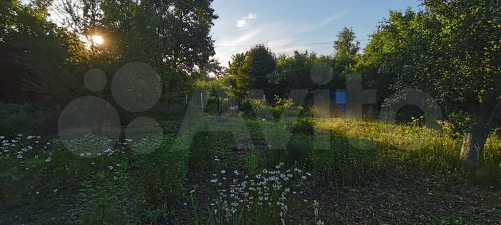 Участок 6 сот. (СНТ, ДНП)