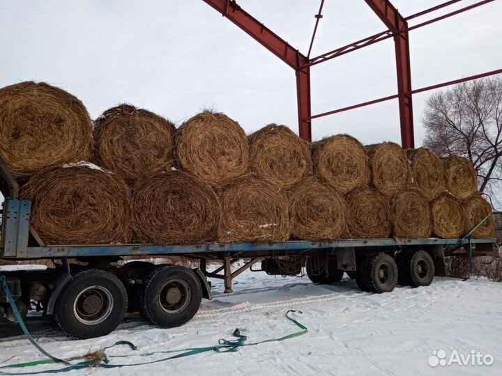 Сено в рулонах