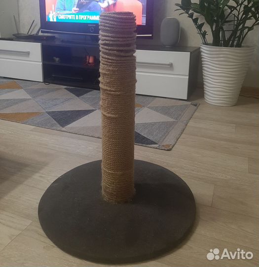 Когтеточка