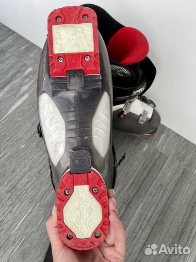 Горнолыжные ботинки dalbello