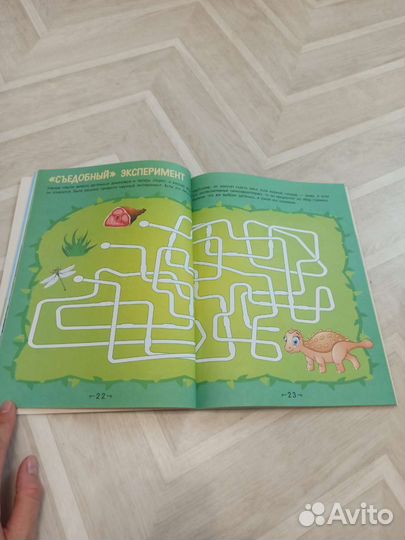 Книга лабиринты динозавры