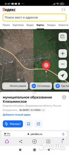 Рассада клубники