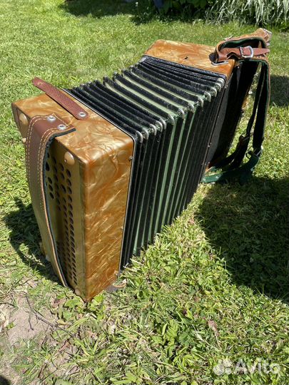 Аккордеон Rauner