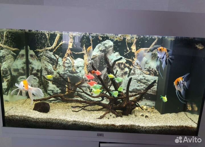 Аквариум juwel 125 литров