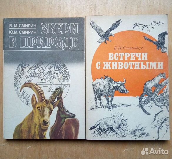 Трудовое право. Учебник. 2001