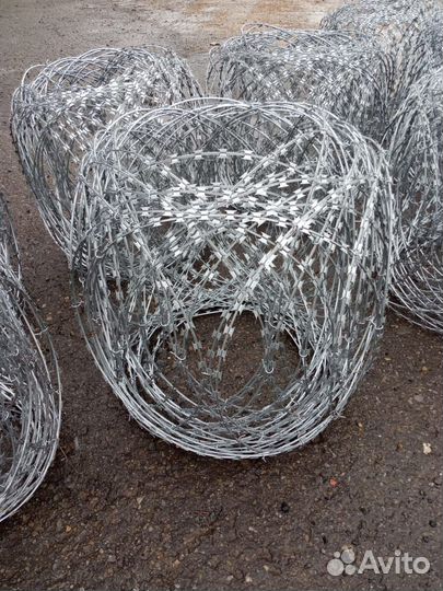 Колючая проволока, Егоза