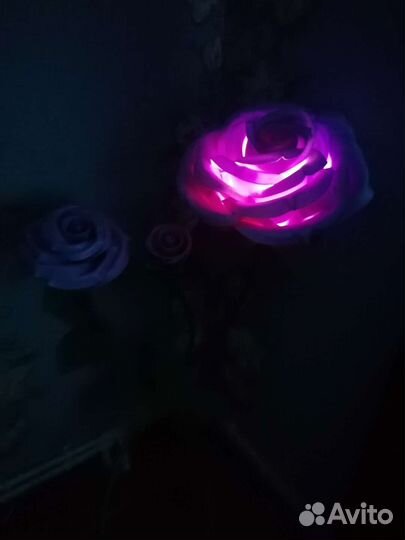 Цветы - изолон