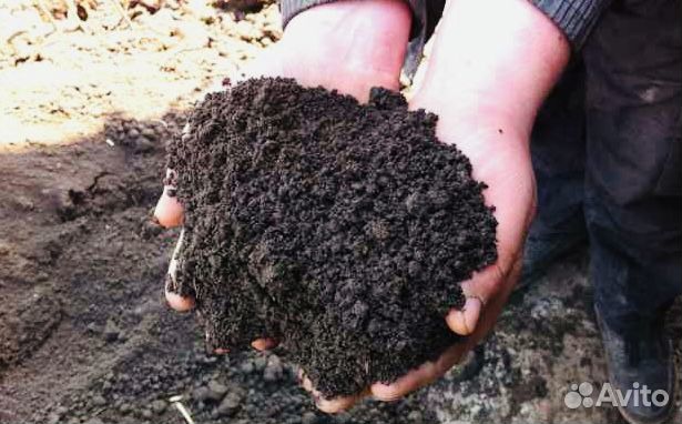 Чернозём Рязанский Земля плодородная wa*3