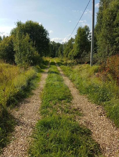 Участок 30 сот. (СНТ, ДНП)