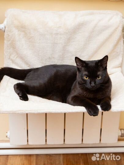 Гамак на батарею для кошек из овчины Triol